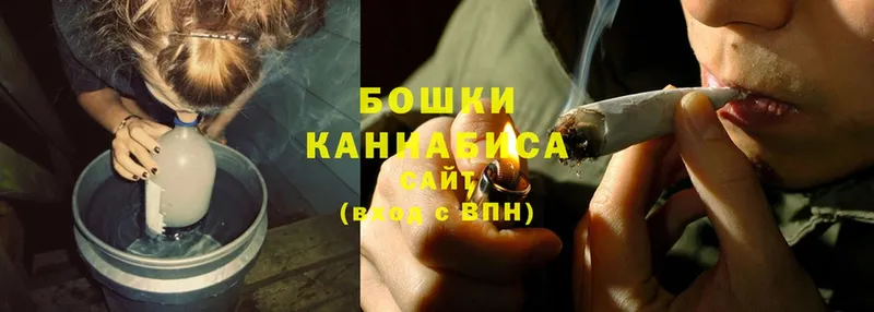 Конопля SATIVA & INDICA  Бородино 